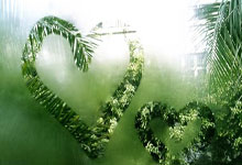 aoa体育馆-佛罗伦萨客场被帕尔马逼平，欧战资格悬而未决，帕尔马-佛罗伦萨比分结果