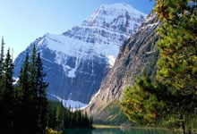 aoa体育馆-北美洲篮球明星获得年度MVP荣誉，口碑爆棚，北美洲俱乐部冠军