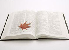 命运之战！选手逆转获胜，夺得佳绩