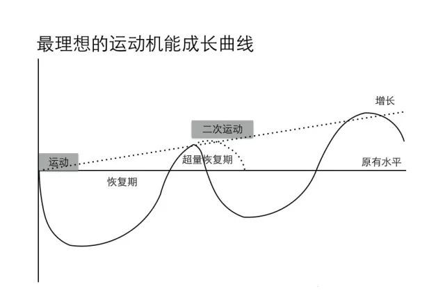 aoa体育培训-山东队机敏应对，力求超越自我突破的简单介绍