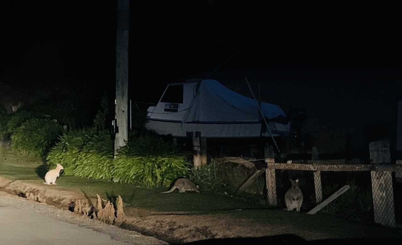 关于塔斯马尼亚联连续不败,争冠形势一片大好的信息 关于塔斯马尼亚联连续不败,争冠形势一片大好的信息