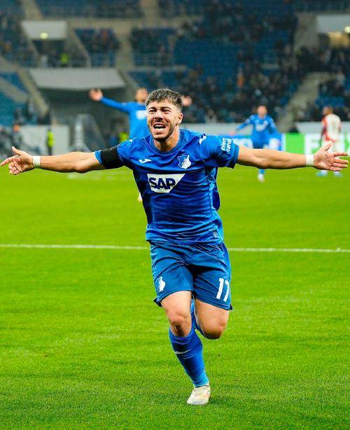 中场核心因伤缺席，霍芬海姆遭遇困境的简单介绍